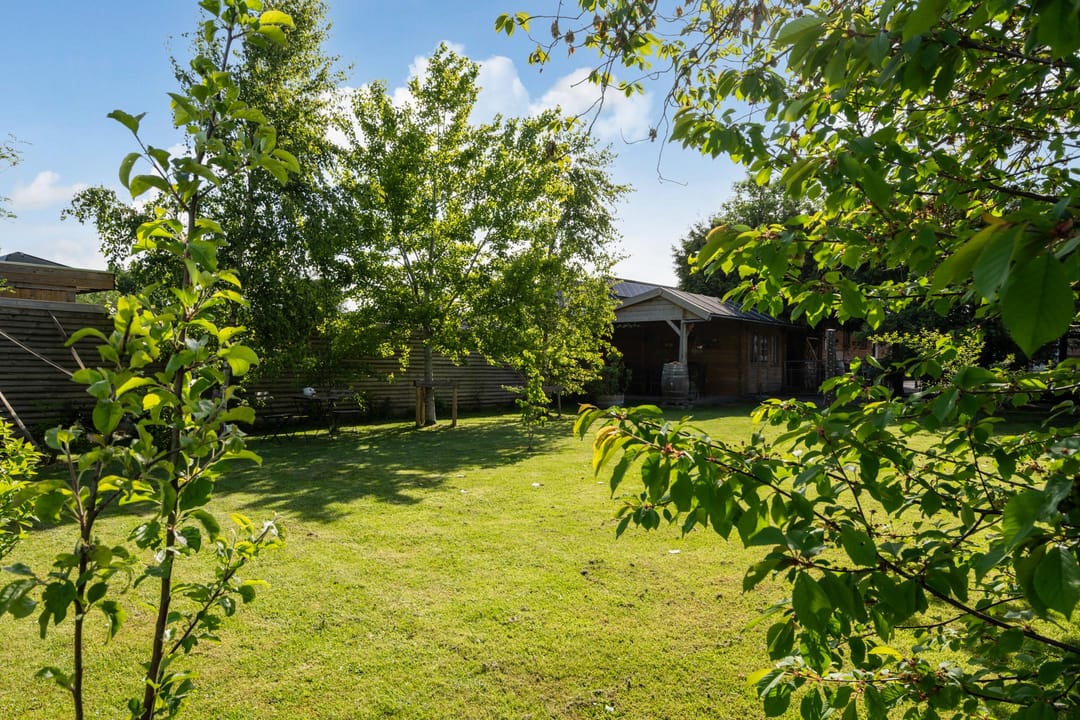 Foto 31 van Merkebuorren 69