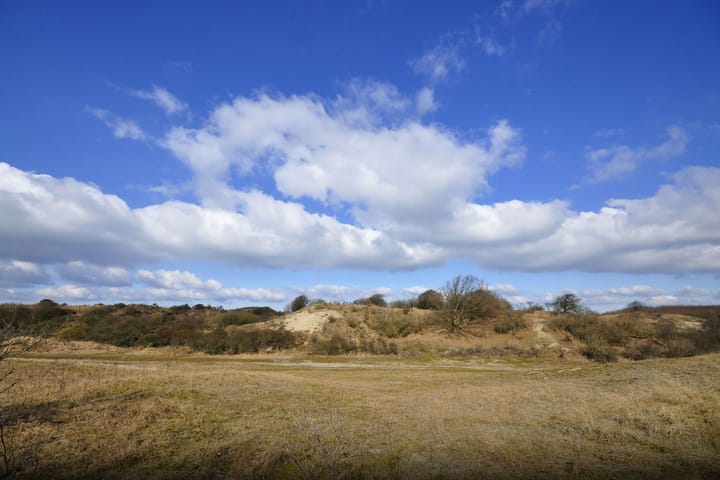 Foto 3 van Van Alkemadelaan 910