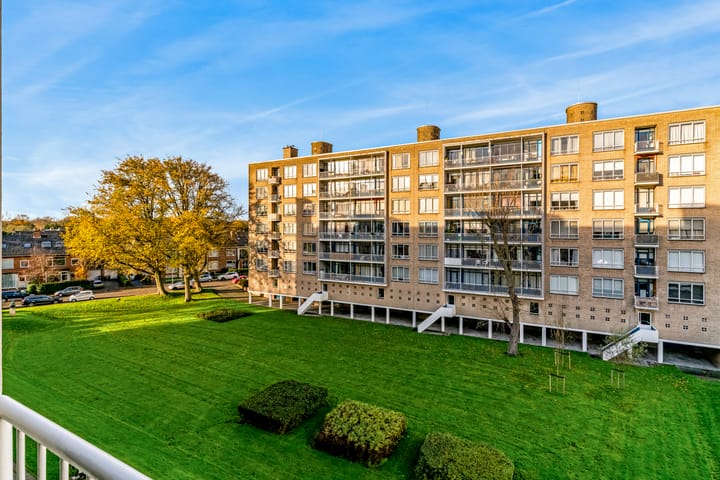 Foto 28 van Van Alkemadelaan 910