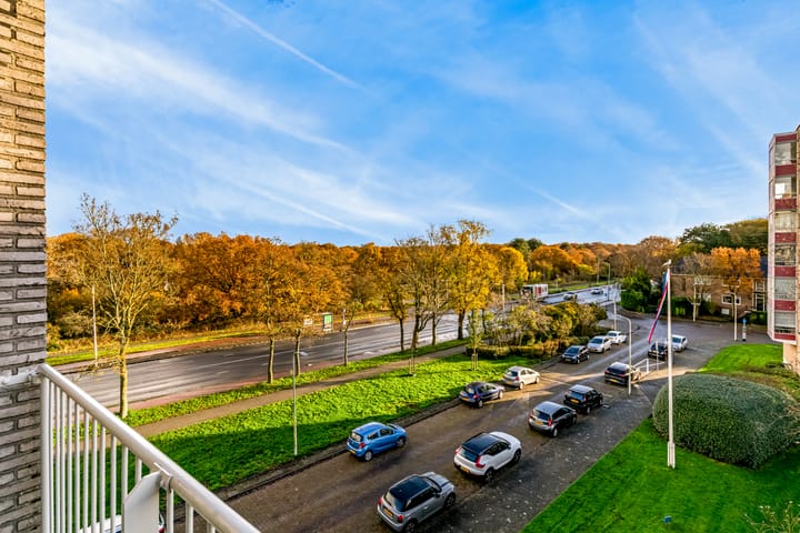 Foto 17 van Van Alkemadelaan 910