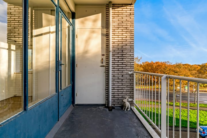 Foto 18 van Van Alkemadelaan 910