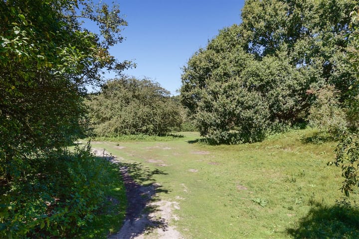 Foto 26 van Van Alkemadelaan 910