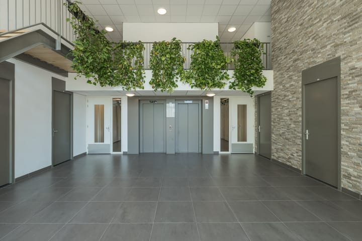 Foto 6 van Dankmeijerpad 169