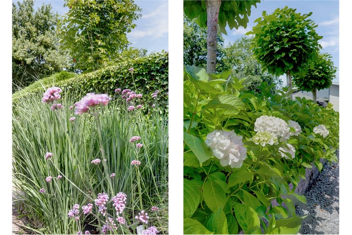 Foto 5 van De Achthoek 69