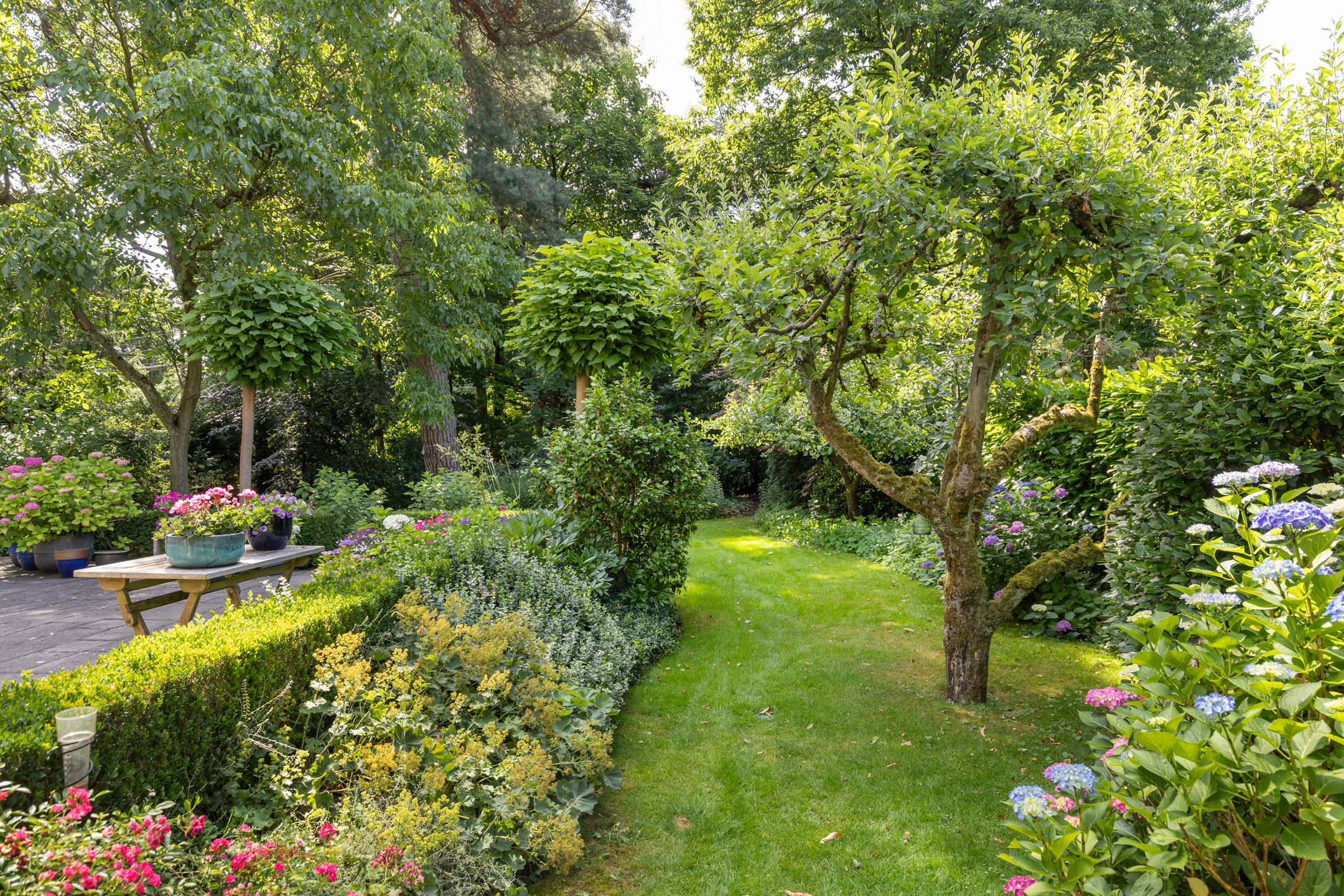 Foto 45 van Bilderdijklaan 36