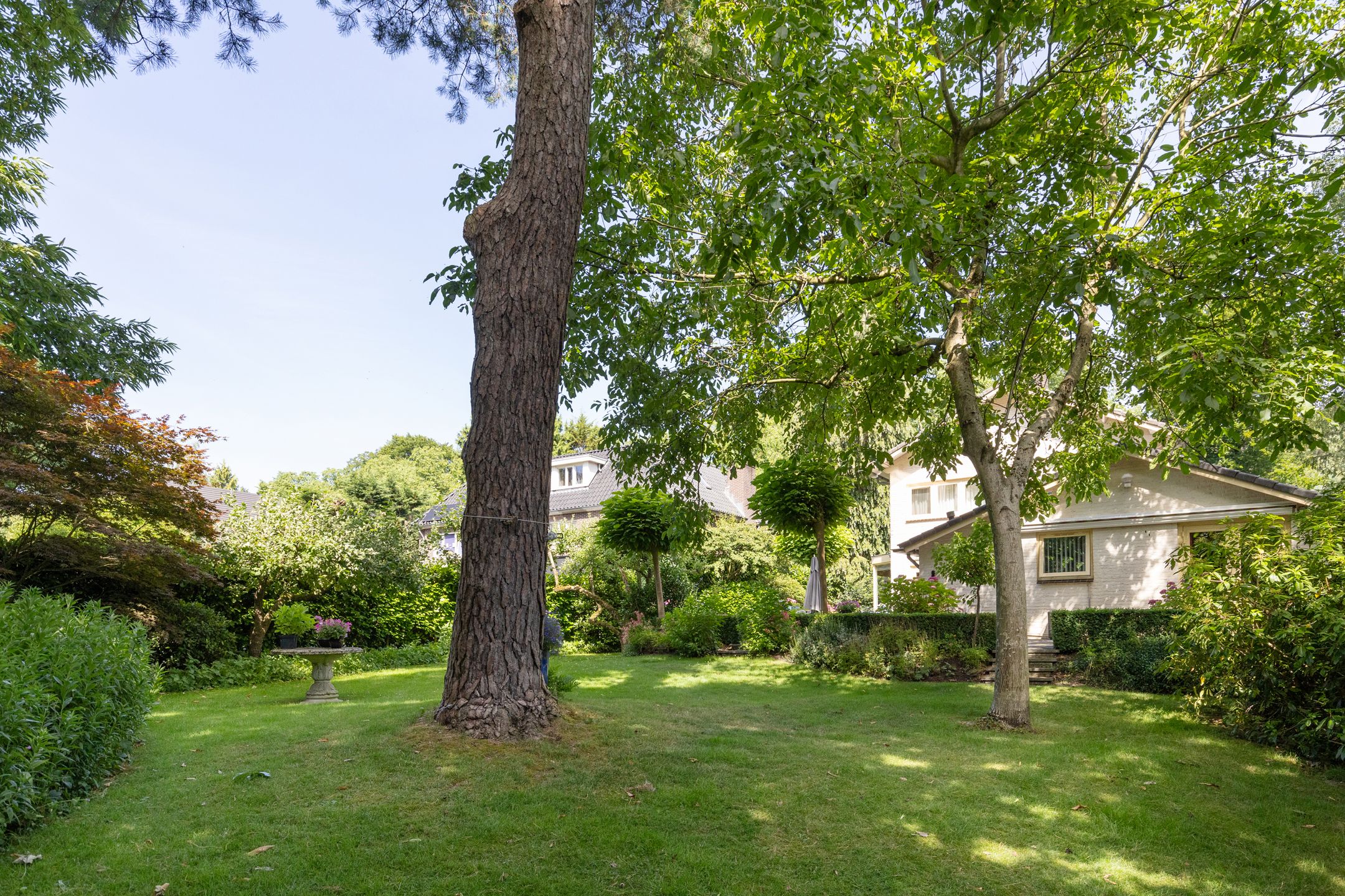 Foto 48 van Bilderdijklaan 36