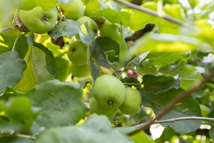 Photo 53 of Bilderdijklaan 36