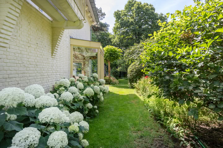 Photo 55 of Bilderdijklaan 36