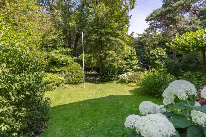 Photo 56 of Bilderdijklaan 36