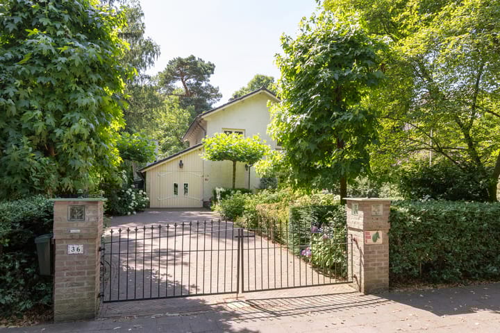 Photo 59 of Bilderdijklaan 36