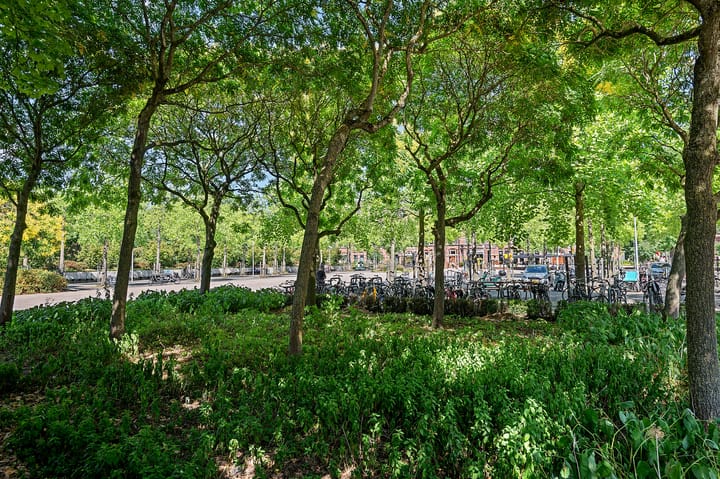 Foto 20 van Groen van Prinstererstraat 2-2