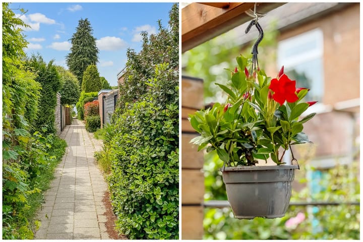 Foto 36 van Dr. Ramaerlaan 3