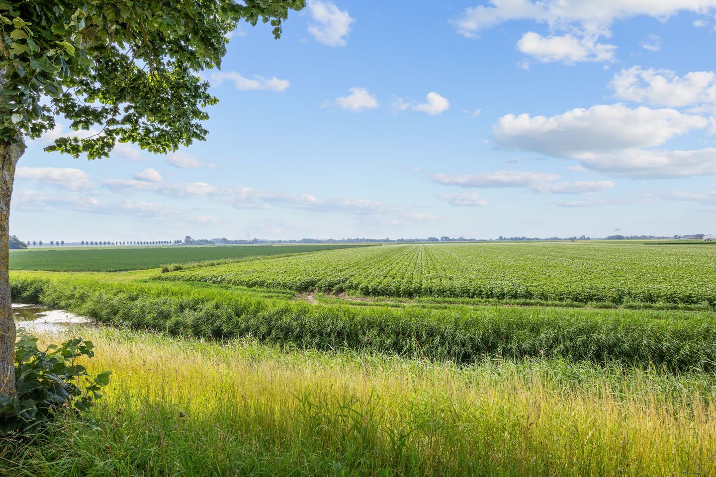 Foto 50 van Oudebildtdijk 466