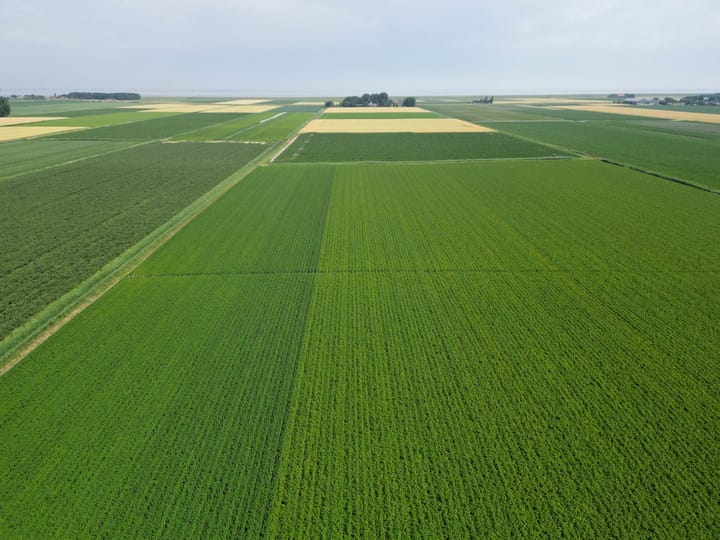 Foto 51 van Oudebildtdijk 466