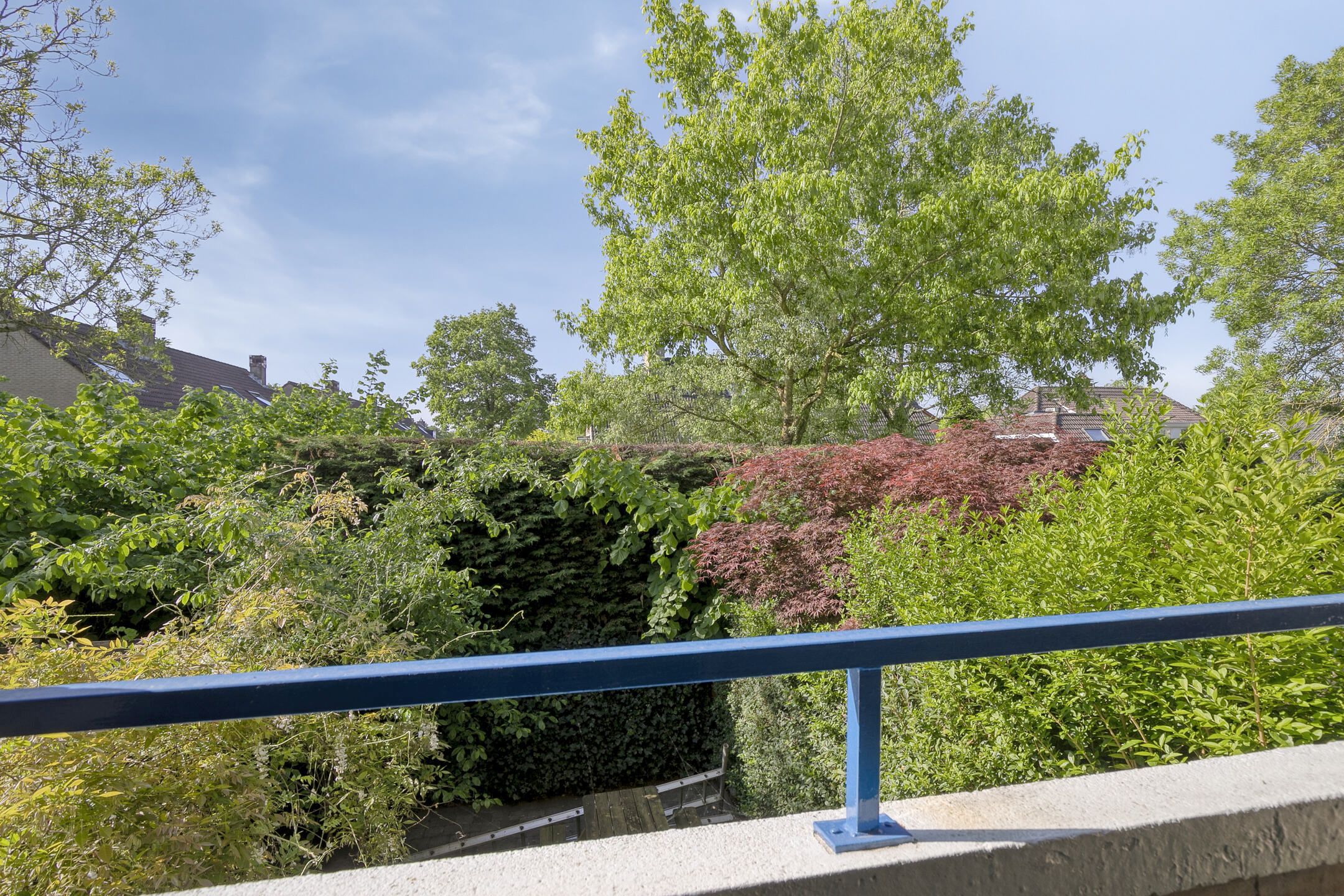 Foto 27 van Jaagpad 25