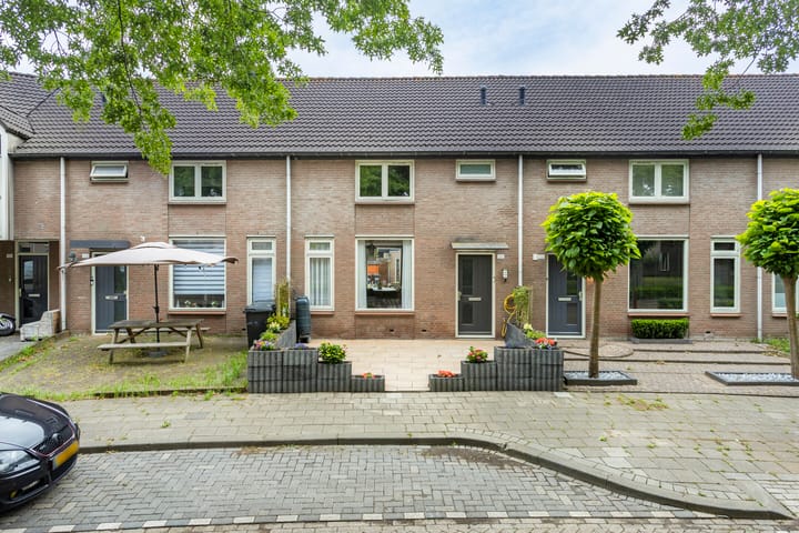 Foto 1 van Zilvermeeuw 102