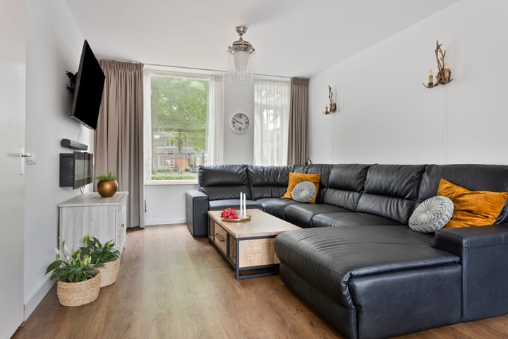 Foto 7 van Zilvermeeuw 102