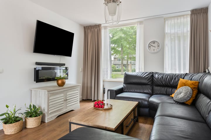 Foto 8 van Zilvermeeuw 102