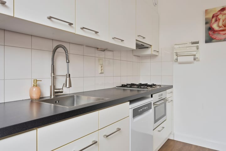 Foto 12 van Zilvermeeuw 102