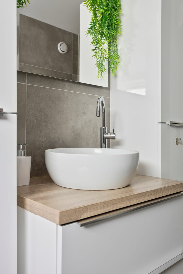 Foto 21 van Zilvermeeuw 102