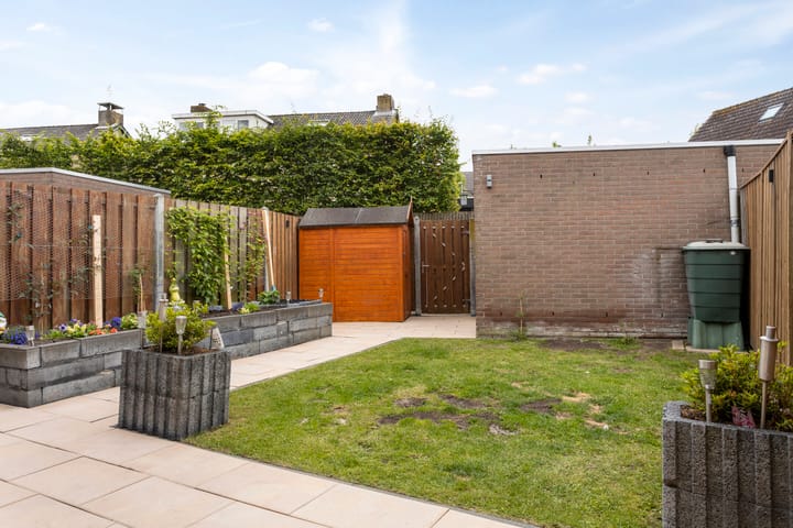 Foto 27 van Zilvermeeuw 102