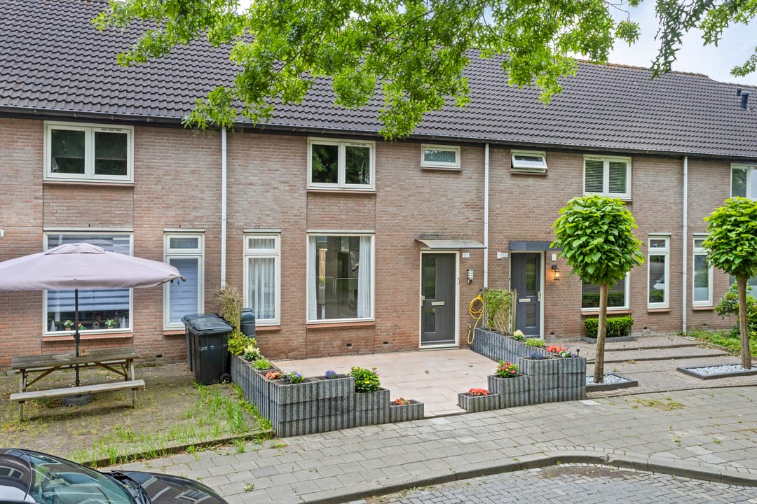 Foto 31 van Zilvermeeuw 102