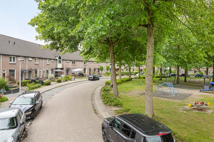 Foto 32 van Zilvermeeuw 102