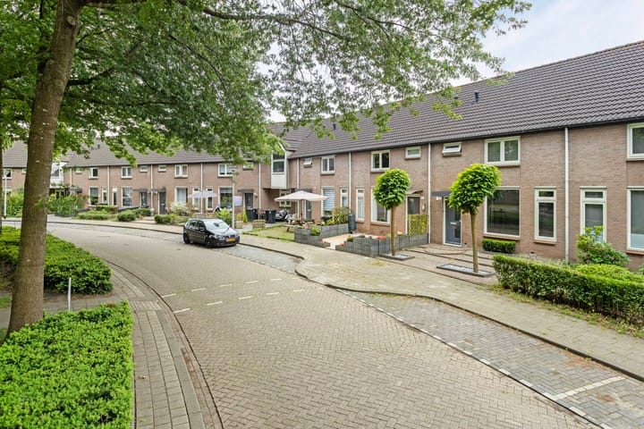 Foto 33 van Zilvermeeuw 102