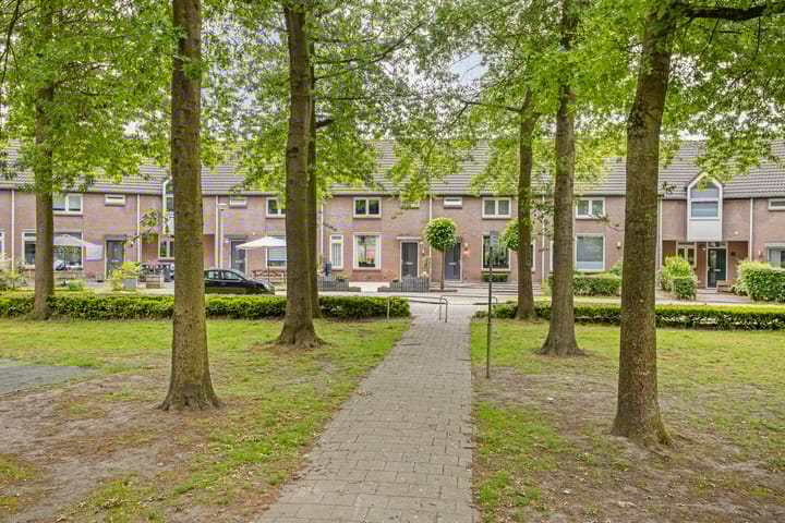 Foto 34 van Zilvermeeuw 102