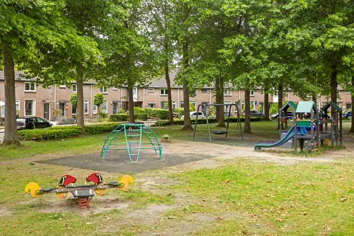 Foto 35 van Zilvermeeuw 102