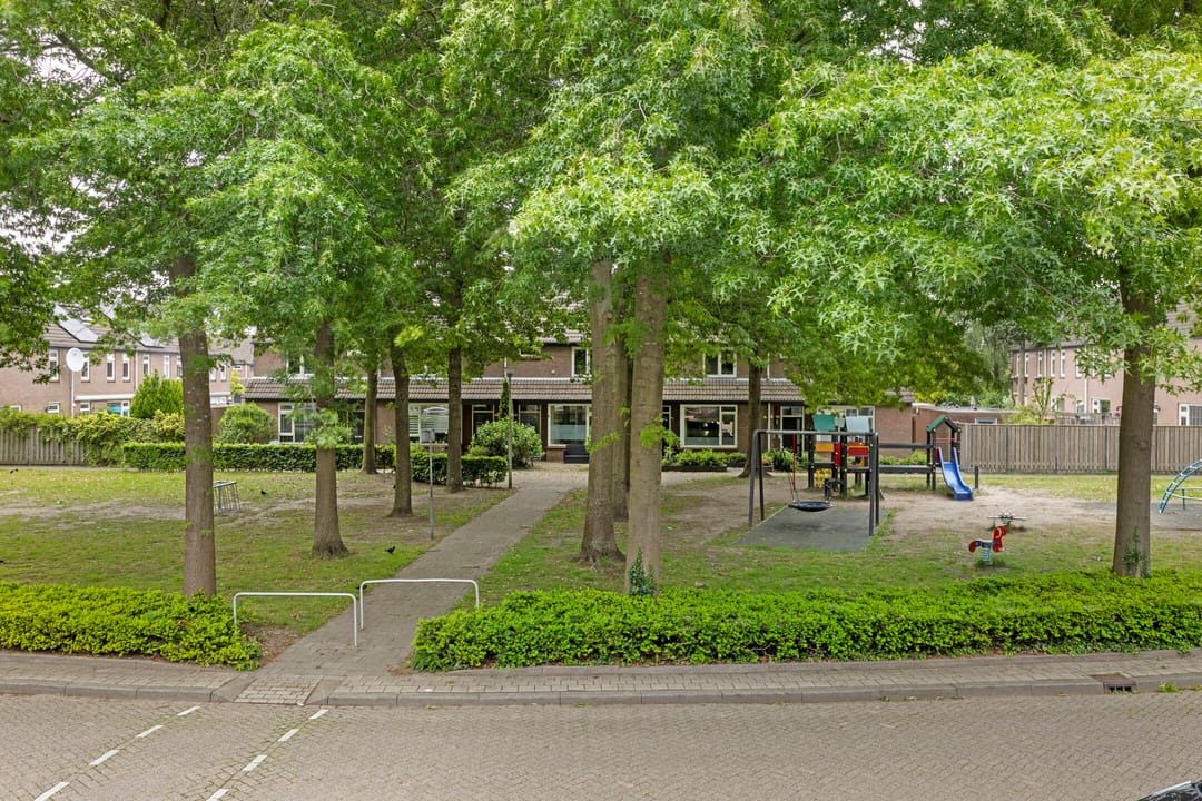 Foto 37 van Zilvermeeuw 102