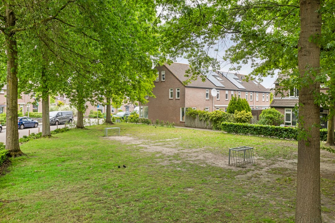 Foto 38 van Zilvermeeuw 102