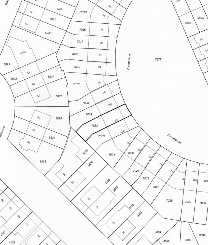Foto 42 van Zilvermeeuw 102