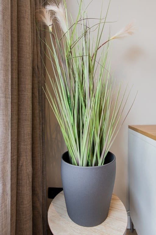 Foto 21 van Roompotstraat 10-2