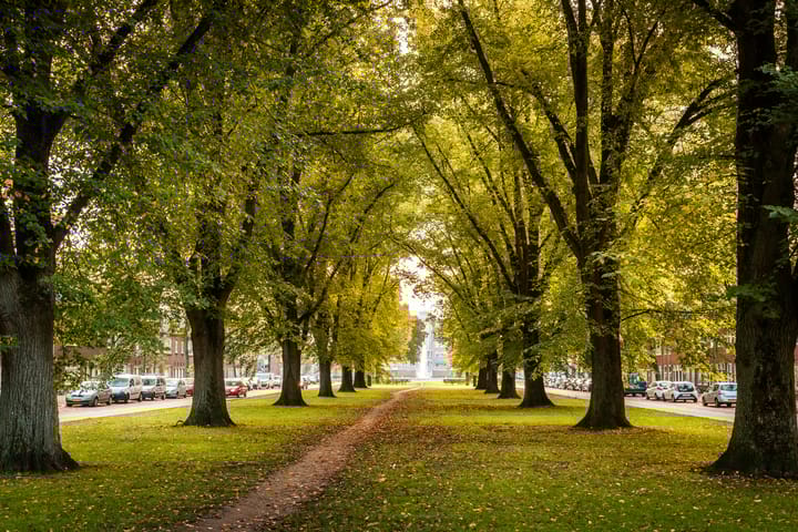 Foto 43 van Dr. Max Euwestraat 16