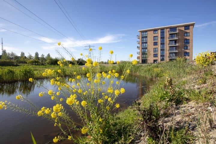 Foto 2 van Adriaan van Royenlaan 84