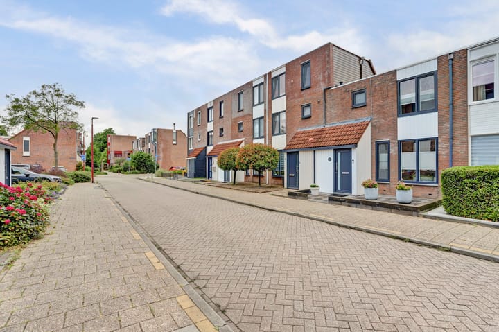 Foto 31 van Braamsluiper 6