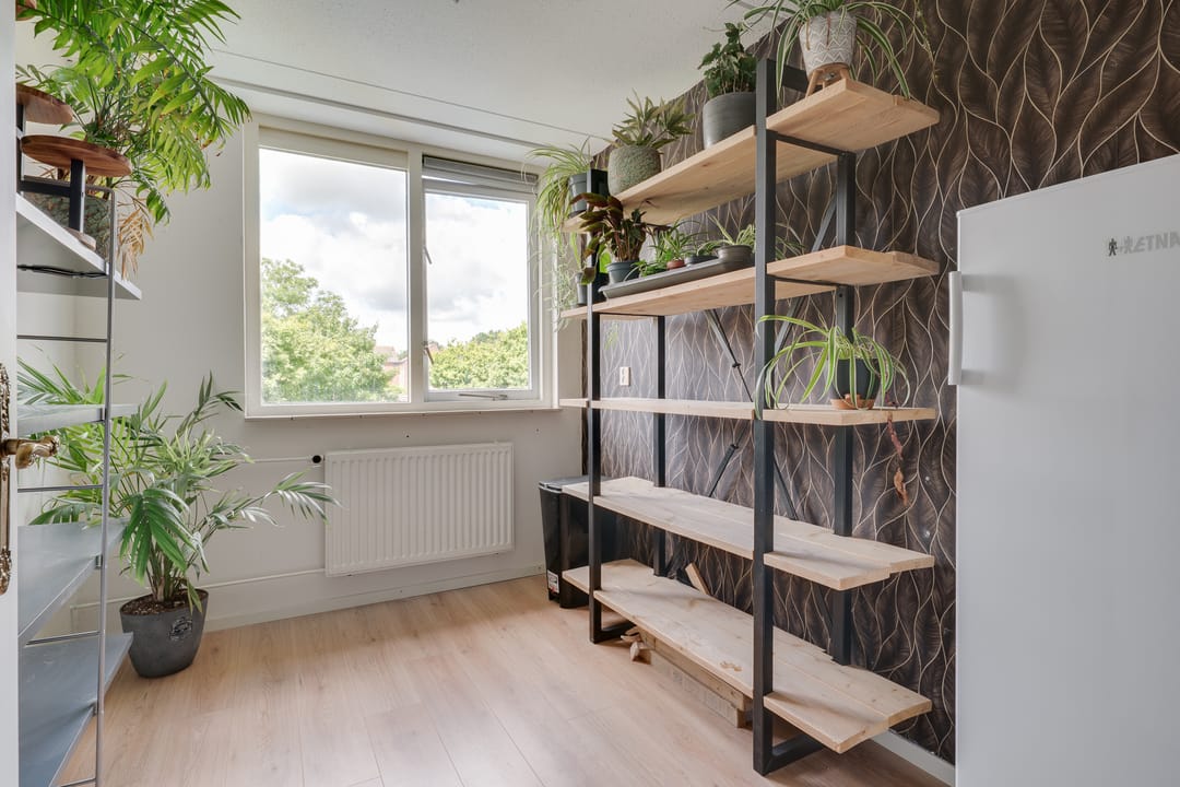 Foto 16 van Zandkreek 19