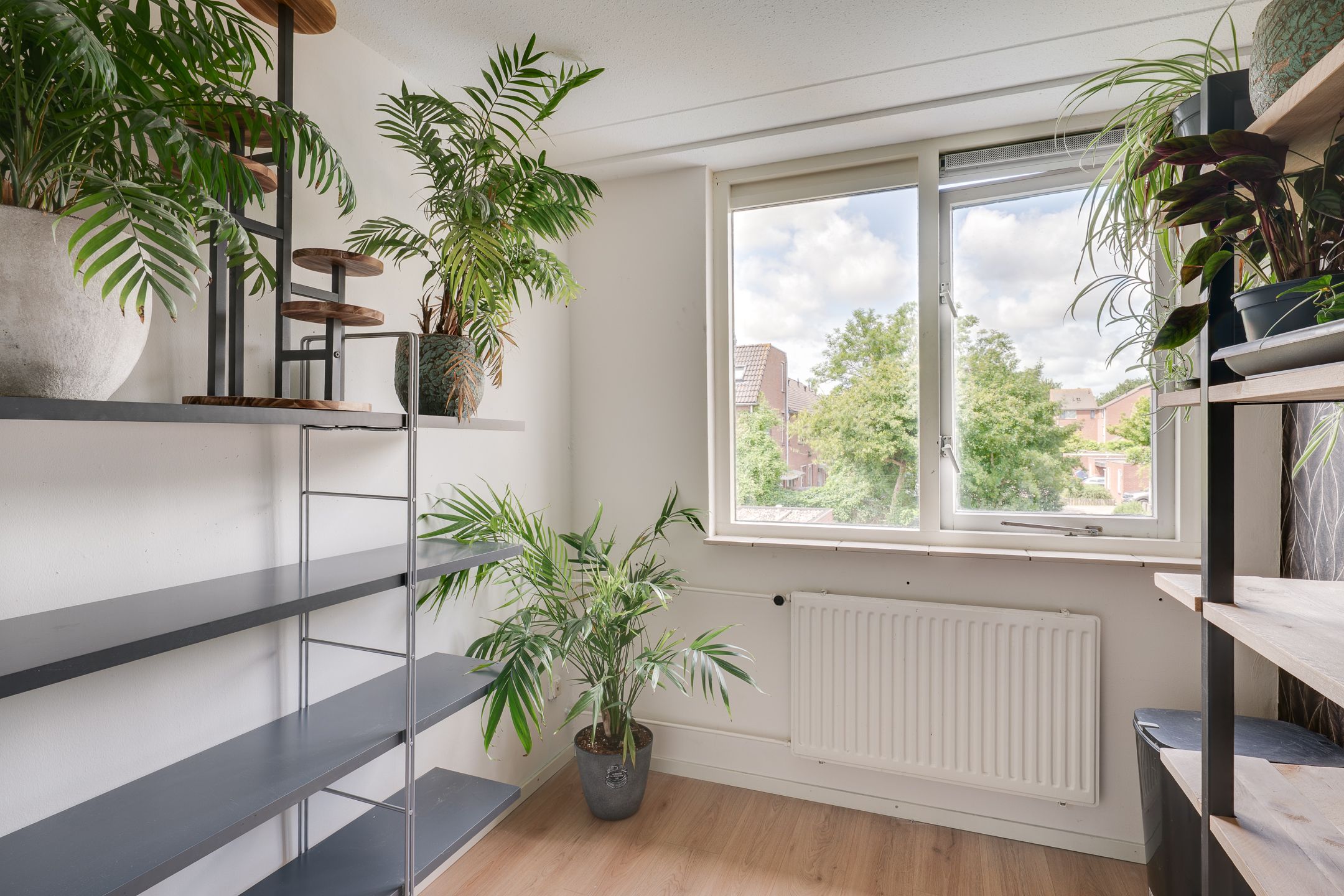 Foto 18 van Zandkreek 19