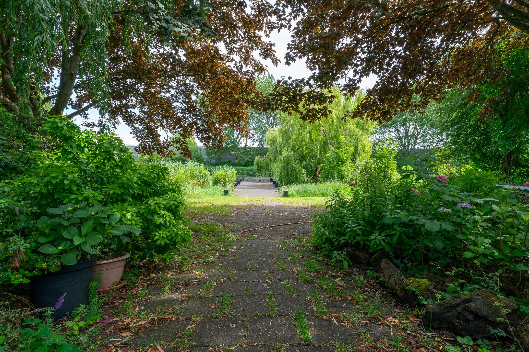 Foto 51 van Zandkreek 19