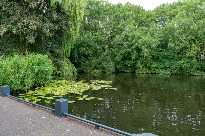 Photo 53 of Zandkreek 19