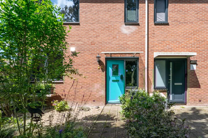 Photo 56 of Zandkreek 19