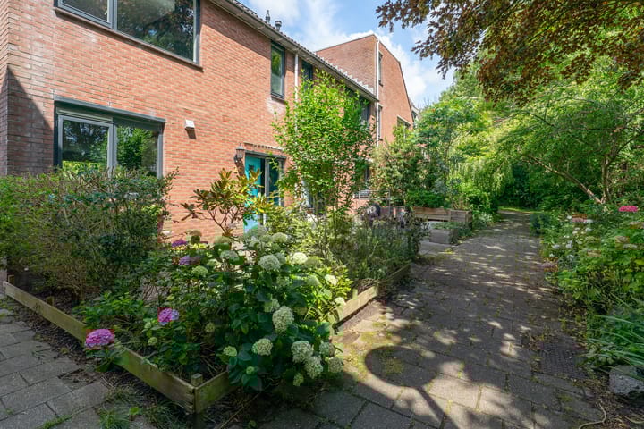 Photo 58 of Zandkreek 19