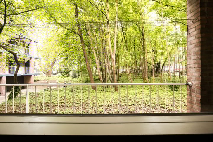 Foto 4 van Anna van Burenlaan 38