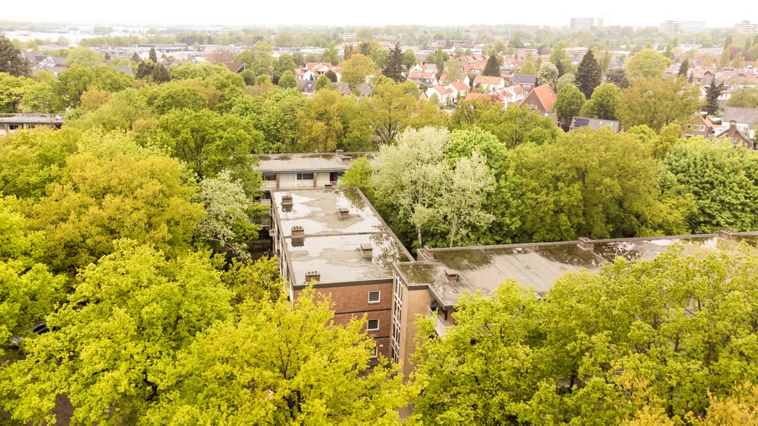 Foto 26 van Anna van Burenlaan 38