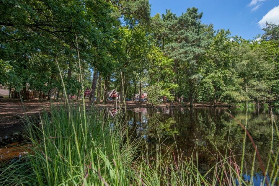 Foto 4 van Patrijslaan 4-41