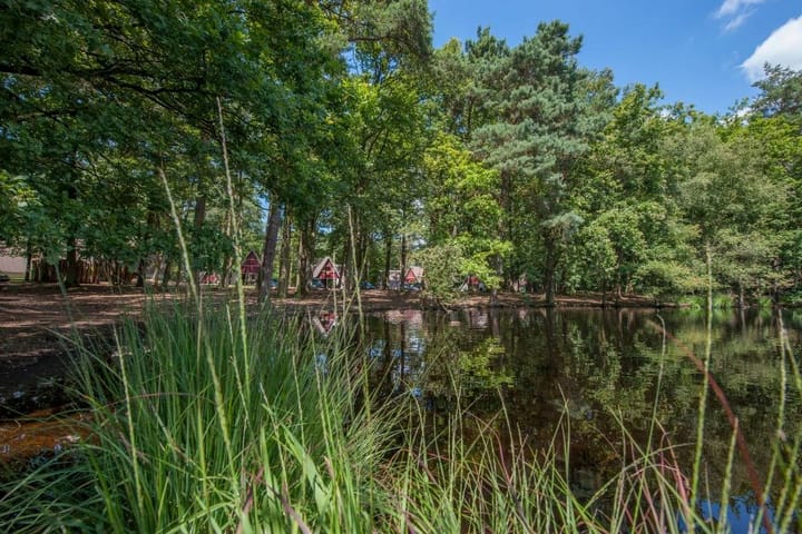 Photo 4 of Patrijslaan 4-41