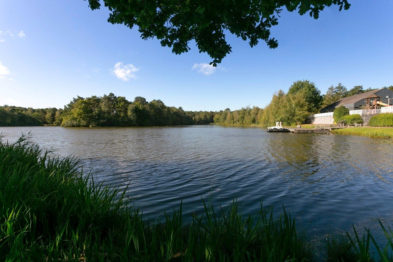 Foto 33 van Patrijslaan 4-41