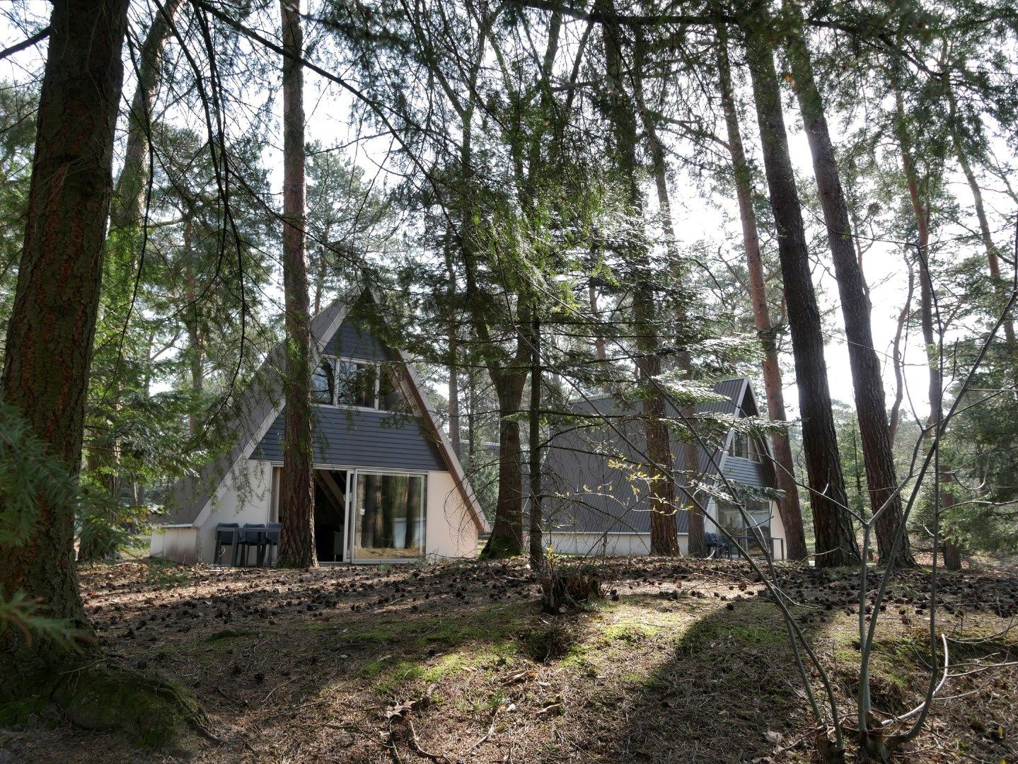 Foto 40 van Patrijslaan 4-41