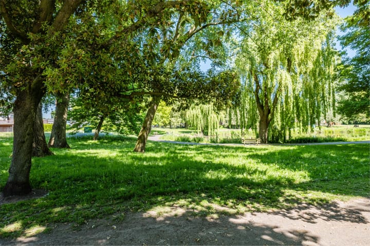 Foto 50 van Timorstraat 52